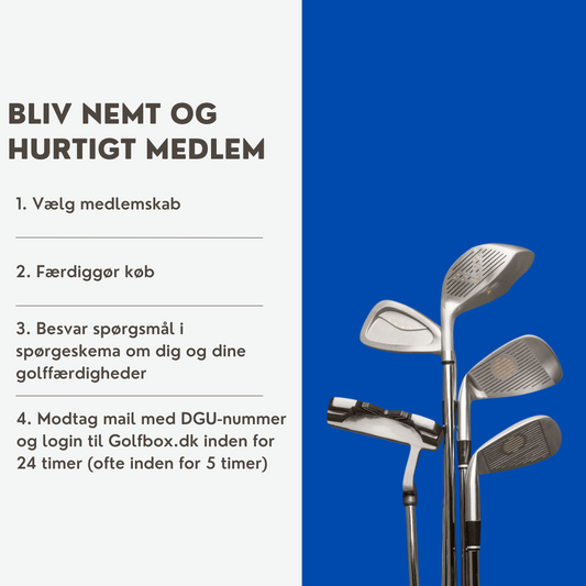 Senior medlemskab (>20 år) Årlig Betaling